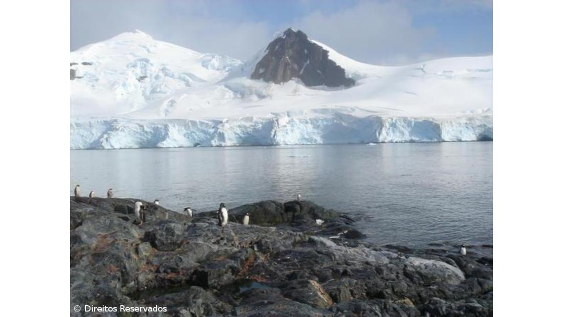 Expedições à Antártida para marcar soberania arrancam