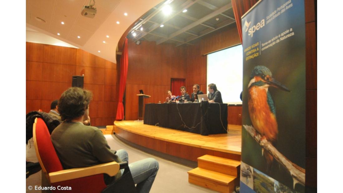 Projecto de conservação do priolo considerado um sucesso