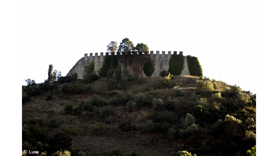 Castelo medieval dá lugar a centro de actividade arqueológica 