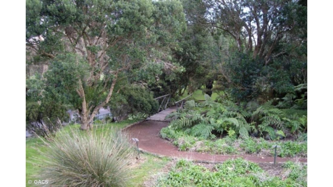 Programa Parque Aberto envolve todas as ilhas em novembro e dezembro