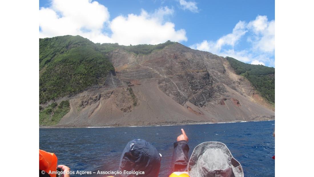 Ambientalistas acusam governo de "branqueamento ecológico"