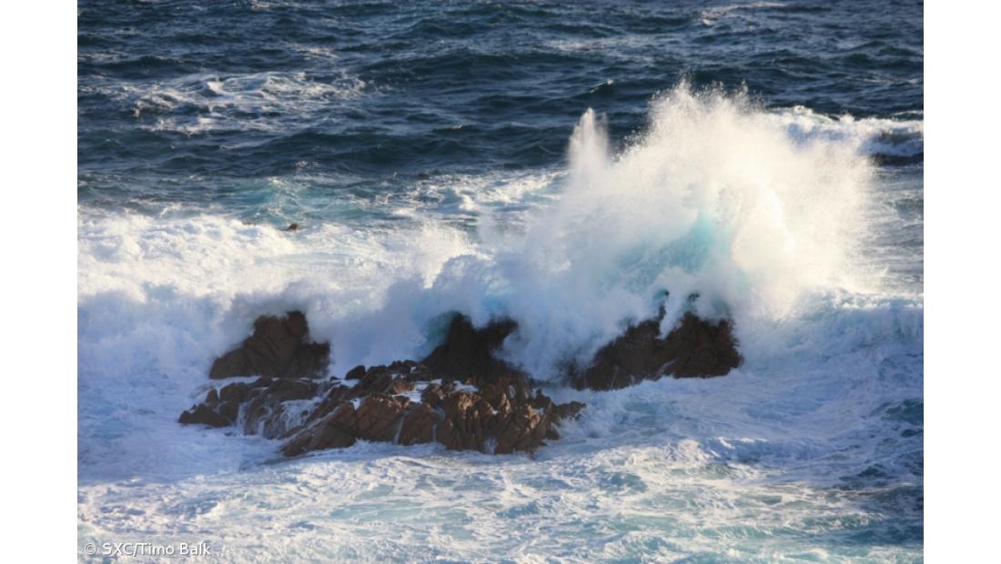 Alterações climáticas ameaçam o mar profundo do Atlântico Norte