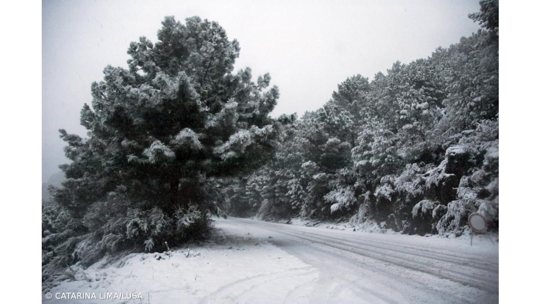 Neve cai desde sexta-feira na Serra da Estrela