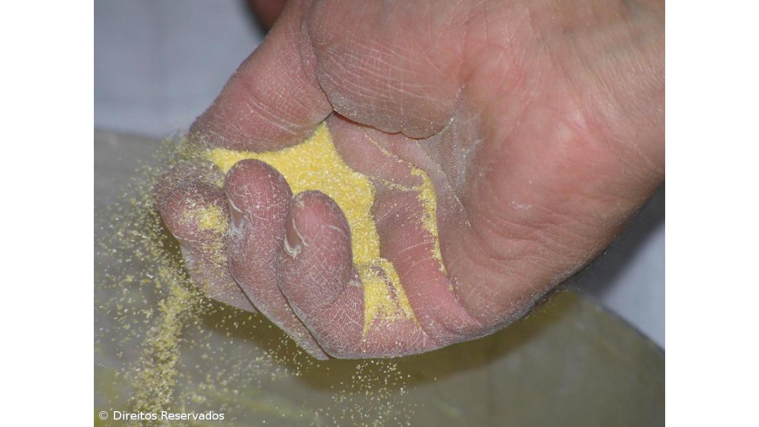 'Batalha de Farinha' anima localidade piscatória no Pico