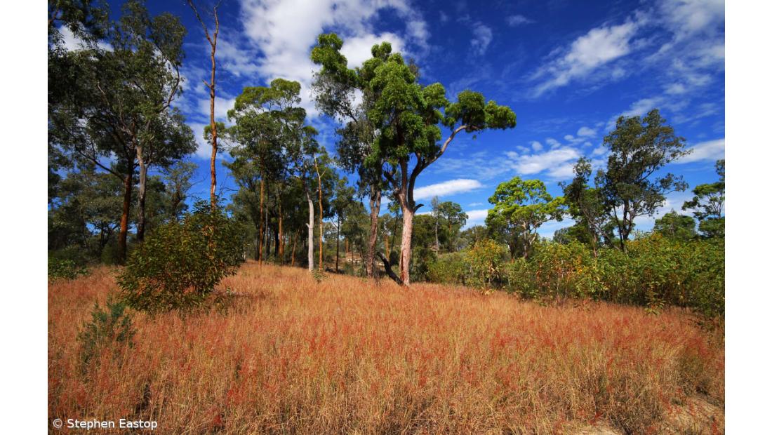 Mais de metade do território em seca extrema e bacias abaixo do normal