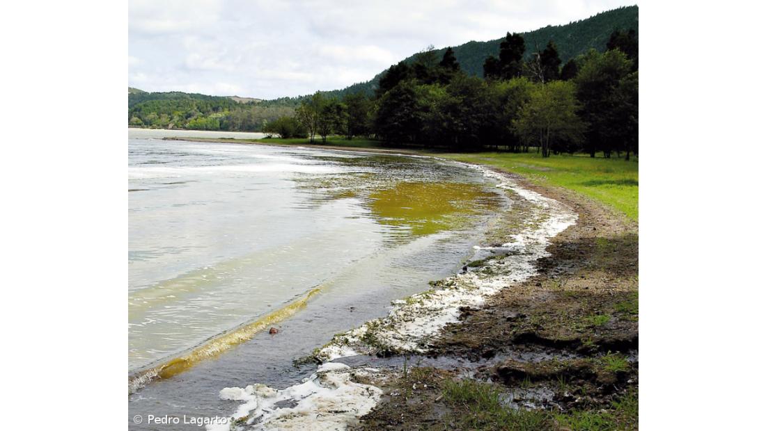 PS e PSD visitaram Lagoa das Furnas
