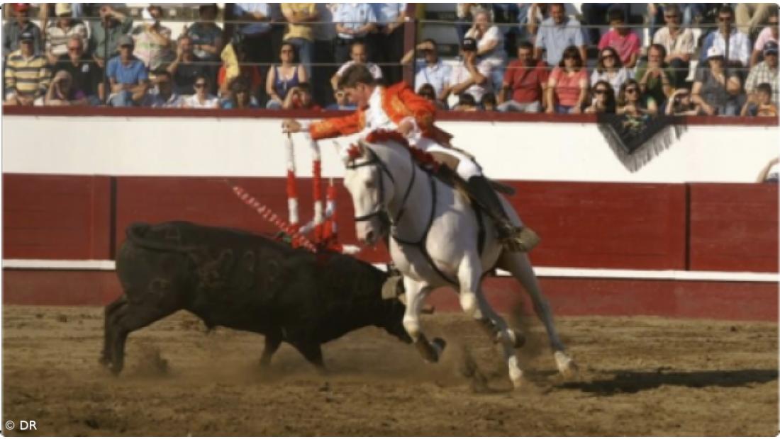 Artistas tauromáquicos perdem isenção e passam a pagar 13% de IVA