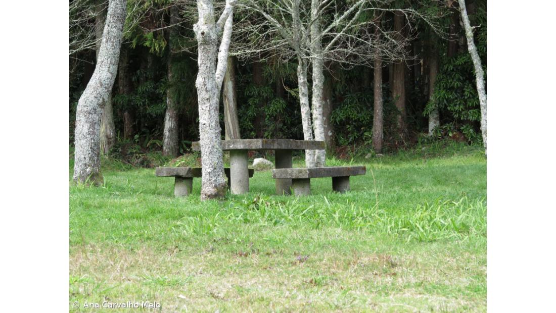 Parques de merendas às dezenas em oito das nove ilhas dos Açores