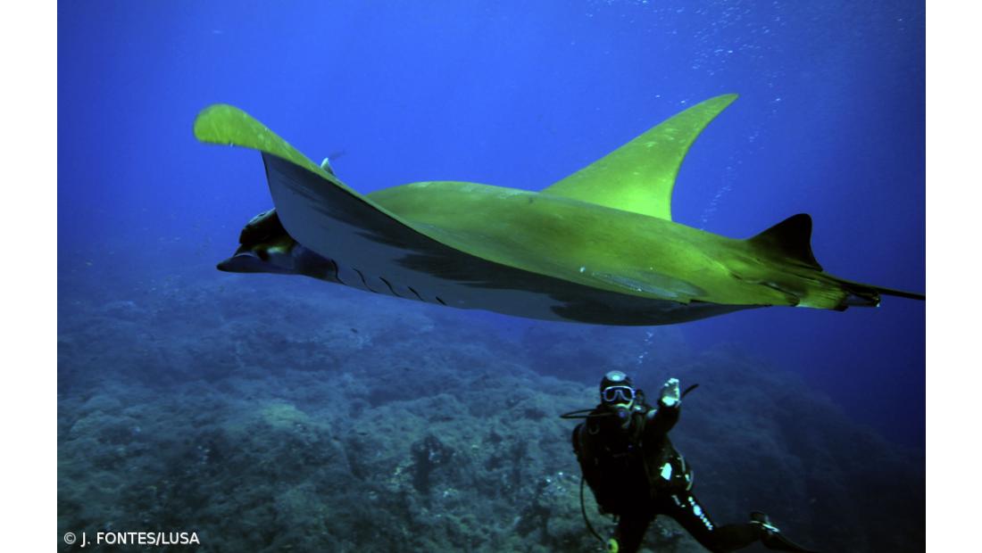 Especialista critica falta de fiscalização de reserva marinha em Santa Maria