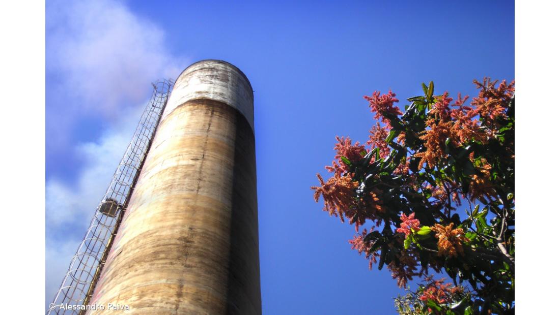 Portugal não cumpriu metas de Quioto 