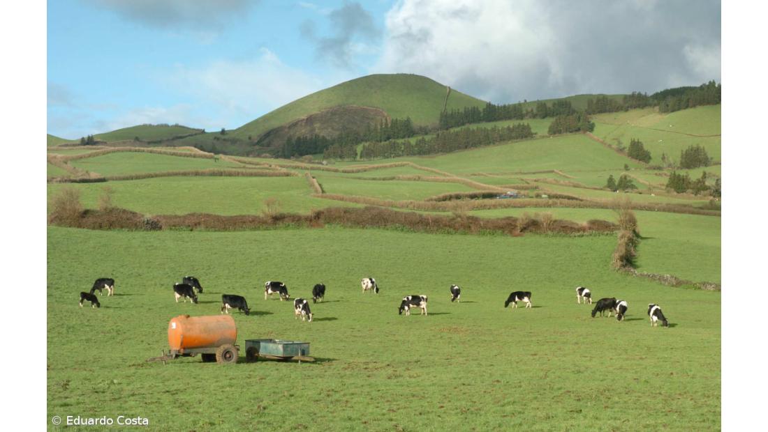 Aprovado plano de desenvolvimento rural 