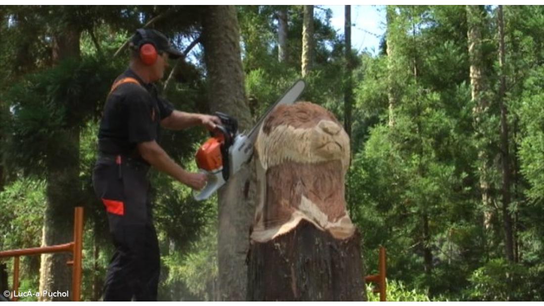 Esculturas de madeira feitas com motosserra nas margens da lagoa das Furnas 