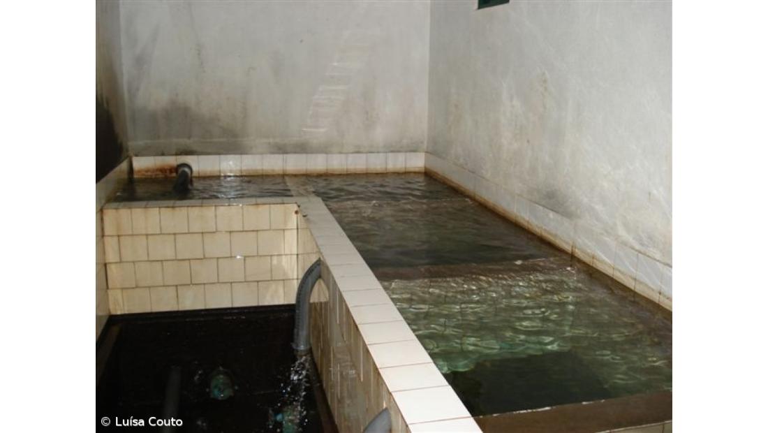 Contaminação das nascentes deixa população sem água para consumo