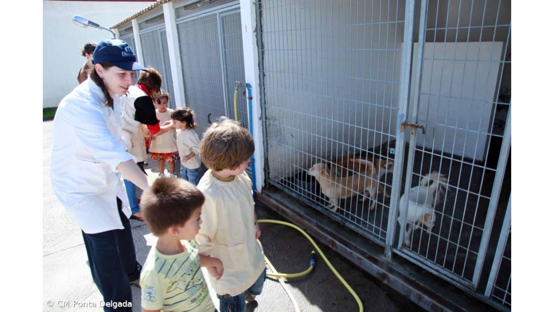  Canil de Ponta Delgada promove campanha de adoção 