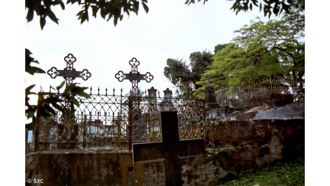 Turismo nos cemitérios do Porto vira moda e visitas mais do que duplicam em quatro anos