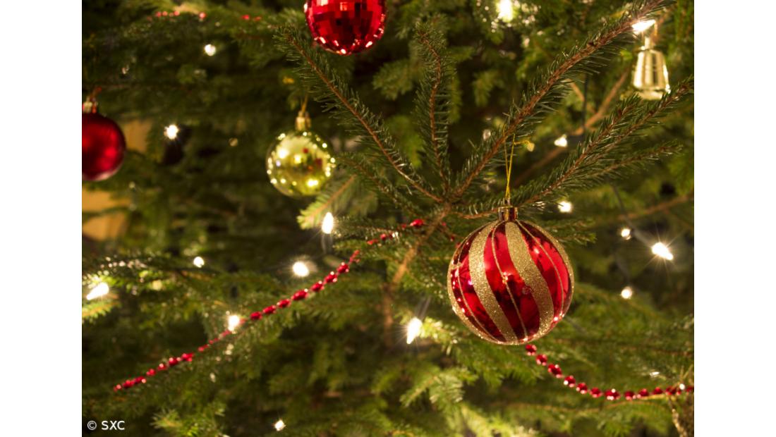 Iluminação de Natal atrasada no Porto por "incumprimento" da empresa contratada, adianta município