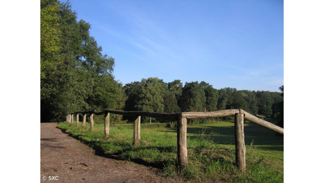 Passar quatro dias na natureza sem tecnologias aumenta criatividade em 50%