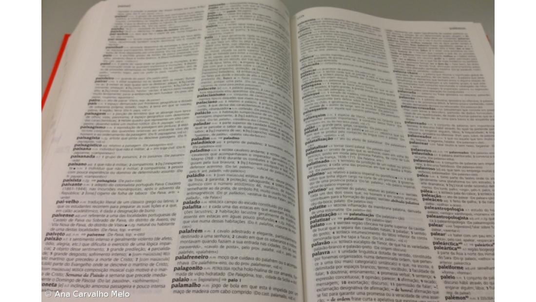 De "desinformação" a "violência" são dez as candidatas a Palavra do Ano 2019