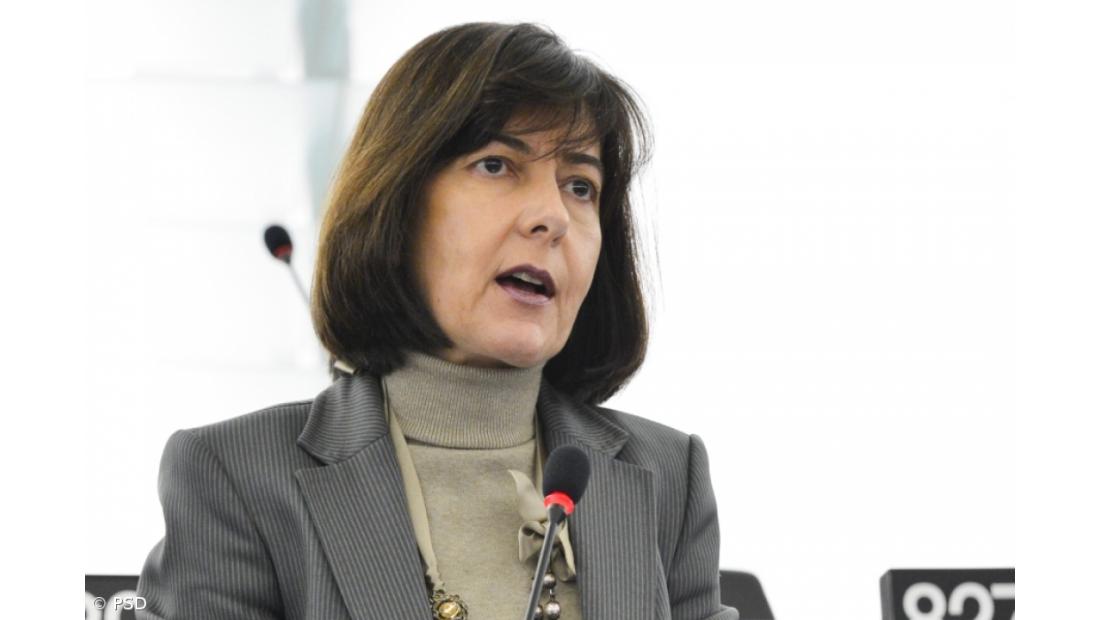 Açores têm última oportunidade para influenciar legislação pós-quotas leiteiras