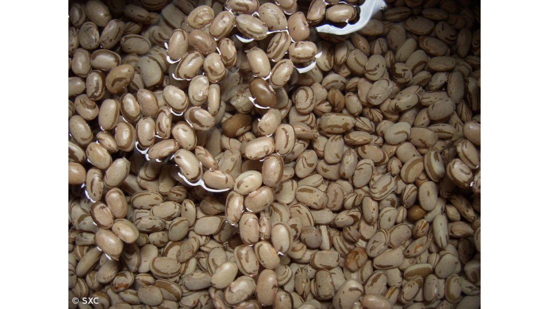 Portugueses comem quatro quilos de leguminosas por ano