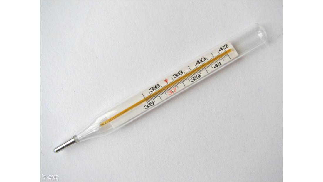 Fevereiro deste ano foi o mais quente em Portugal desde 1931