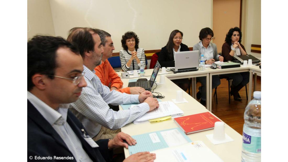Plano de contingência para pandemia de gripe das aves concluído em 2008