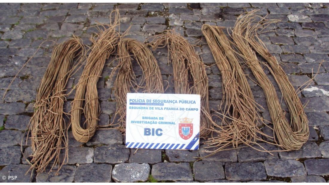 Três detenções por furto de cobre em Água d'Alto