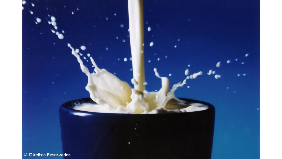 Preço do leite deverá manter-se em 2019 