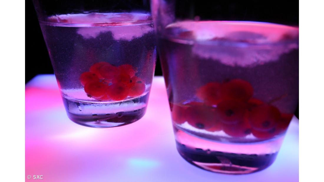 Prevalência do consumo de álcool na Região acima da nacional