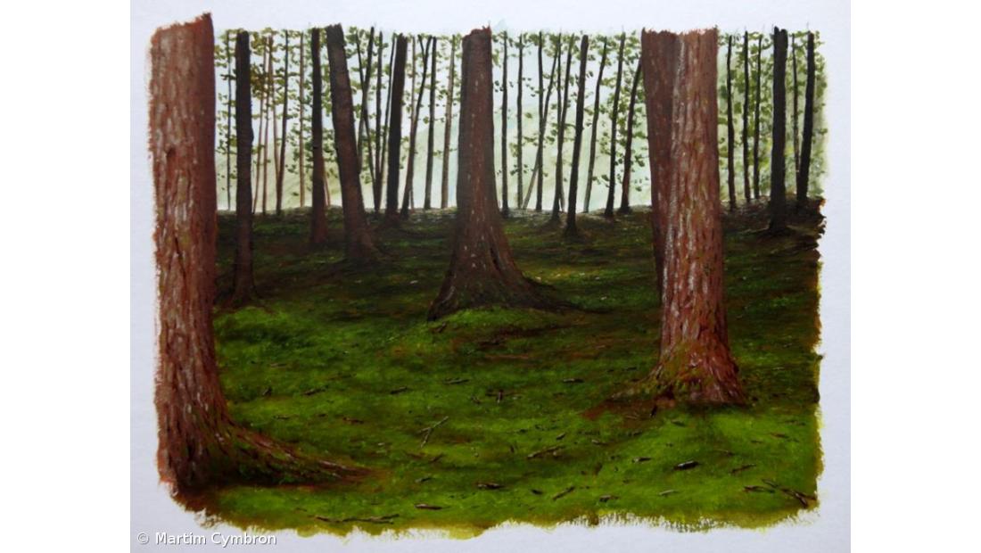 Martim Cymbron expõe "Recantos da Ilha - Aguarelas"