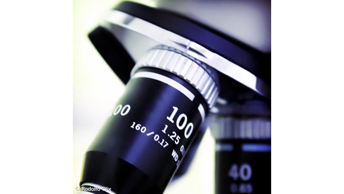 Descoberta nova espécie de bactéria por investigadores da Universidade dos Açores