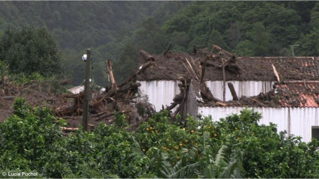 Prejuízos do mau tempo ascendem a 35 milhões de euros