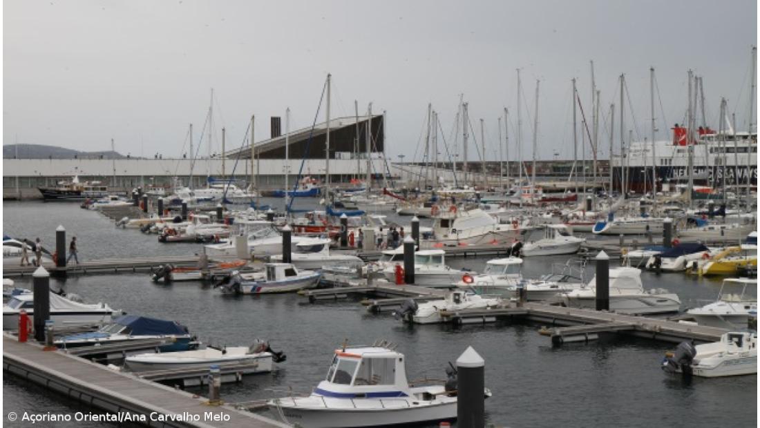 Espécies marinhas invasoras ameaçam ecossistemas das ilhas açorianas