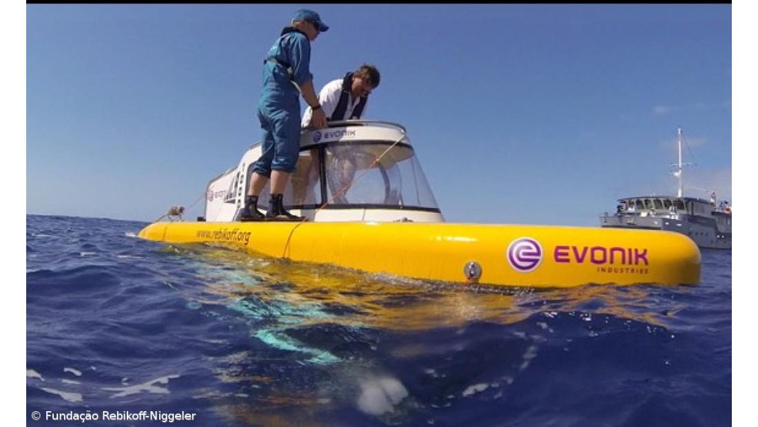 Descoberto recife de coral de grandes dimensões no Faial