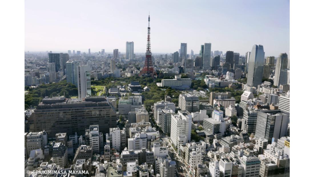 Uma em cada três japonesas solteiras querem ser domésticas 