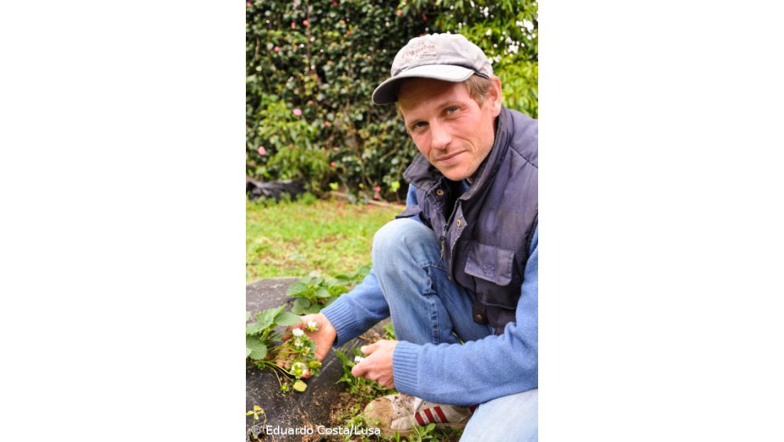 "Oficina agroalimentar" quer rentabilizar produtos excedentários na ilha de São Miguel