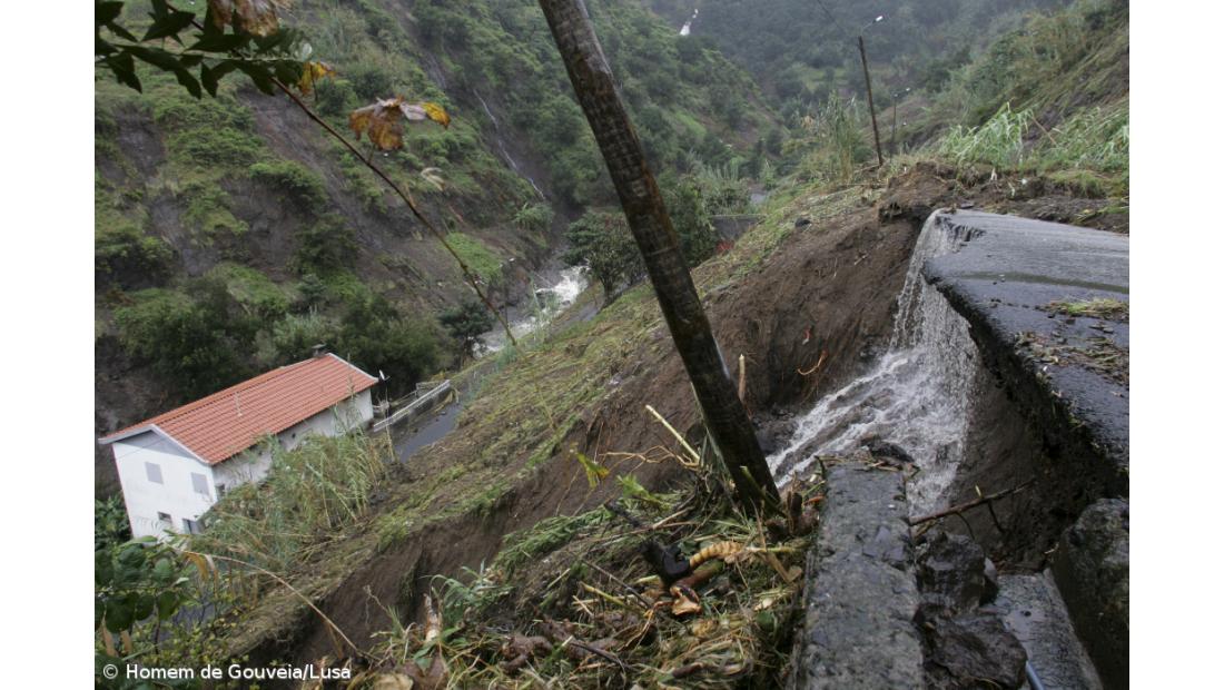 Derrocadas e queda de árvores na Madeira devido ao mau tempo