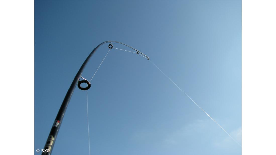 Pesca nos Açores está a atingir "níveis preocupantes"