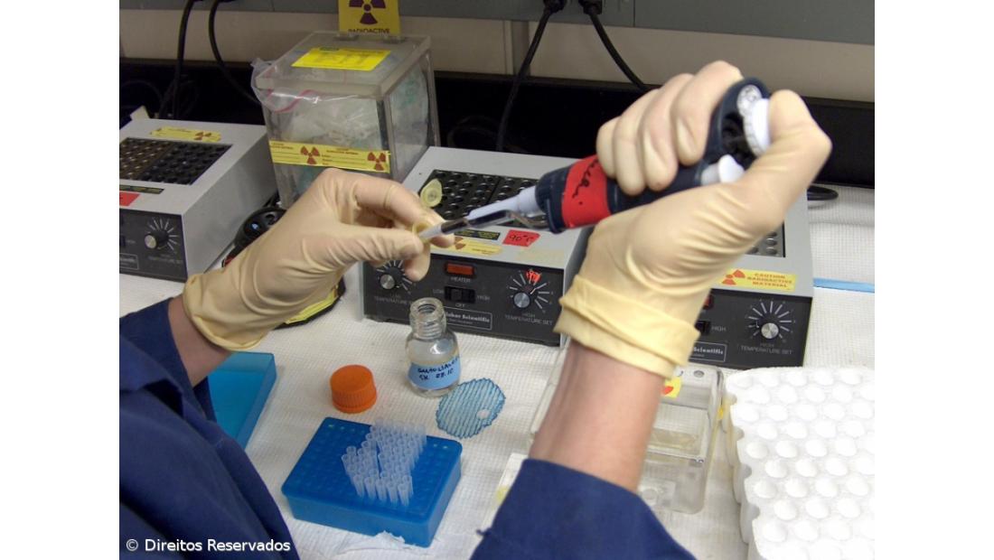 Nunca se esteve tão perto de erradicar a malária, mas percurso ainda é imenso