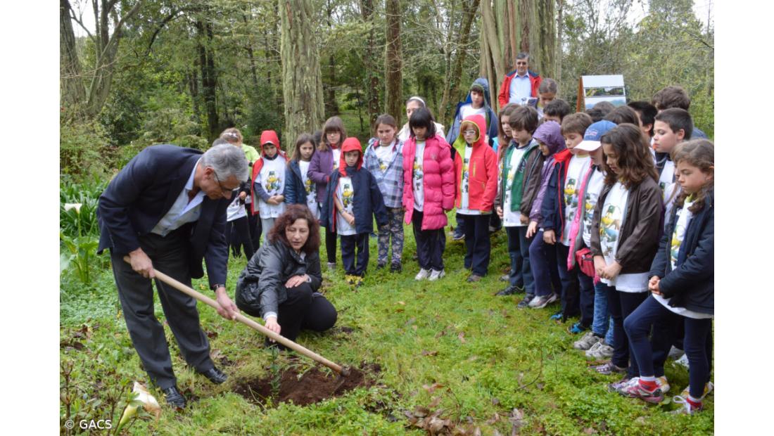 30 iniciativas envolveram 2600 participantes no Dia da Floresta nos Açores