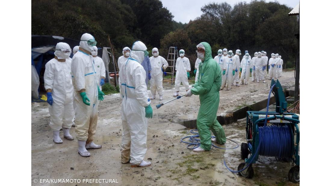 Japão deteta primeiros casos da nova estirpe provenientes do Reino Unido