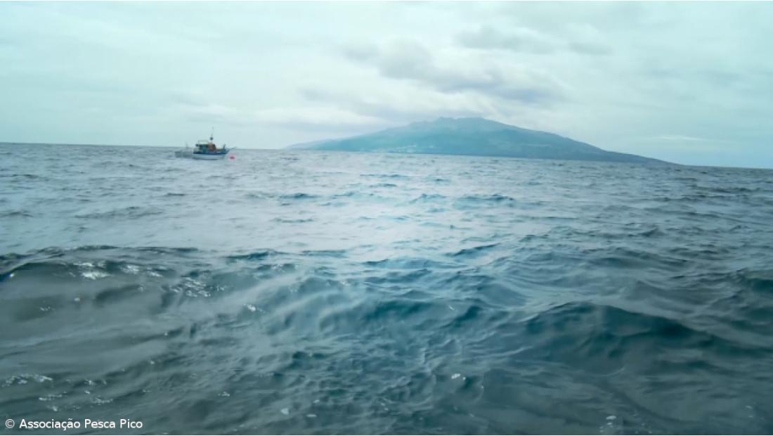 BBC filma no mar profundo dos Açores para série a exibir em 2017