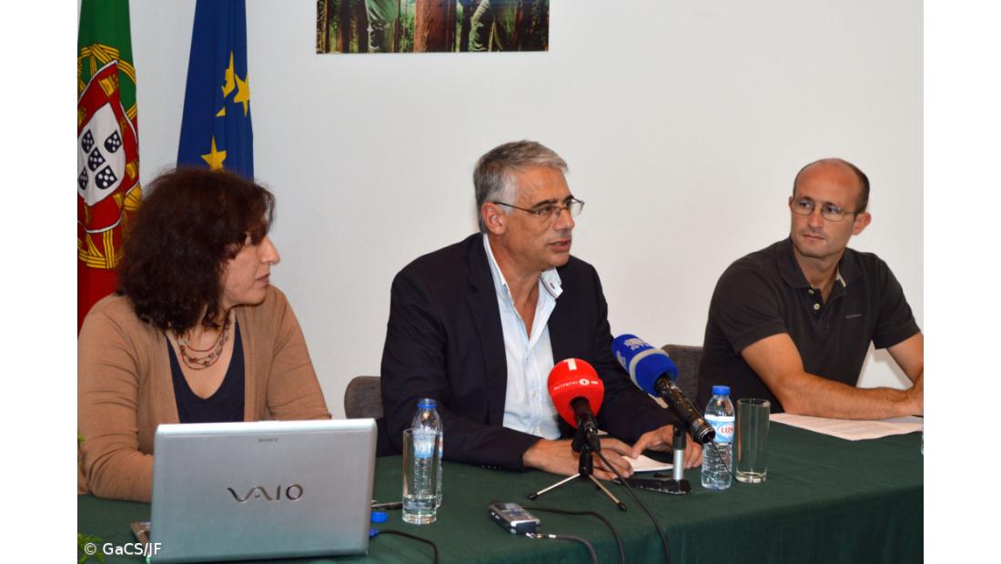 Região vai lançar marca "Floresta dos Açores"