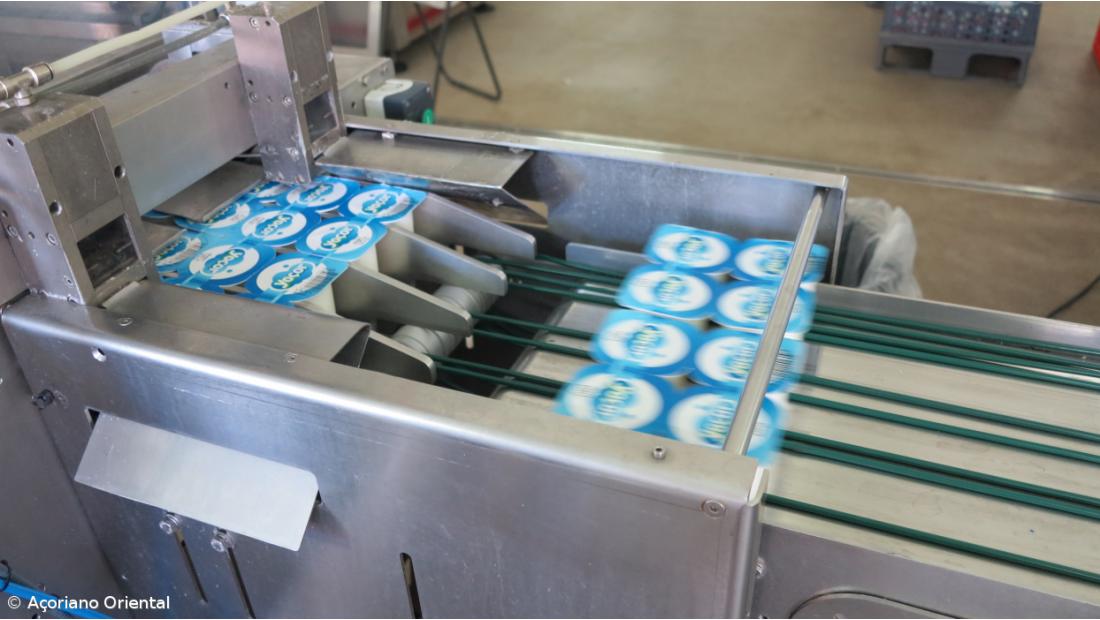 Iogurtes dos Açores começam a ser vendidos em Angola