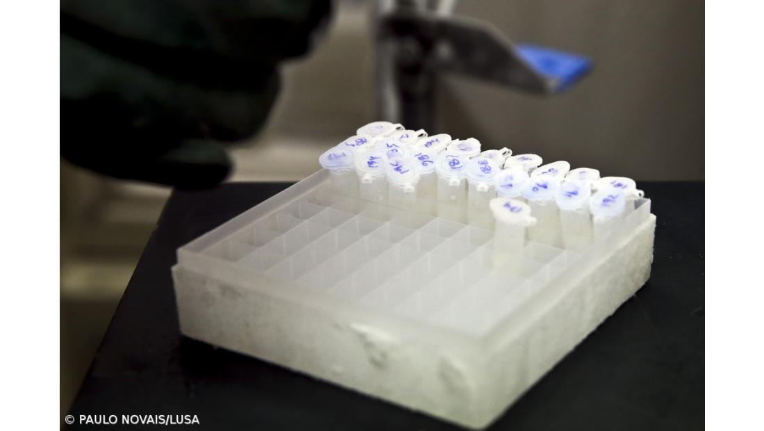 Sobe para 54 o número de infetados com ‘legionella’