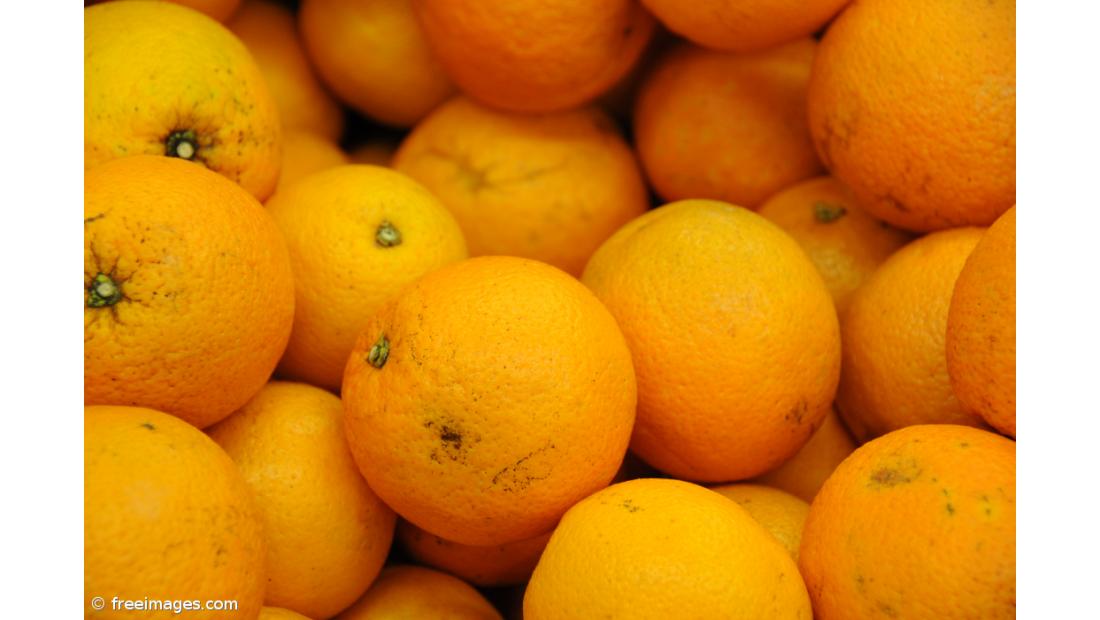 Ministério da Agricultura alerta para aumento de dispersão da praga dos citrinos