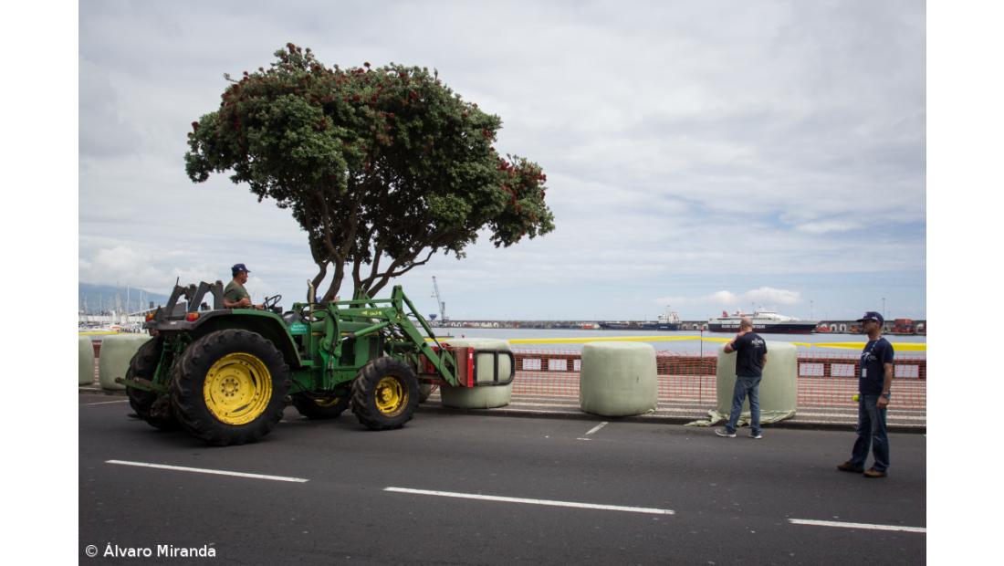 City Show arranca às 20h30 na Praça Gonçalo Velho 