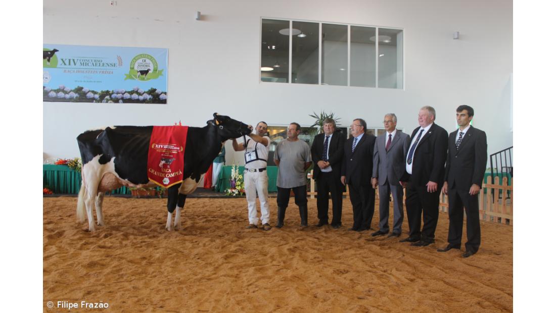 Tânia volta a conquistar o prémio de melhor vaca