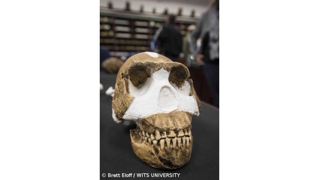 Teoria de "sub-homem" alimenta sentimento de racismo na África do Sul