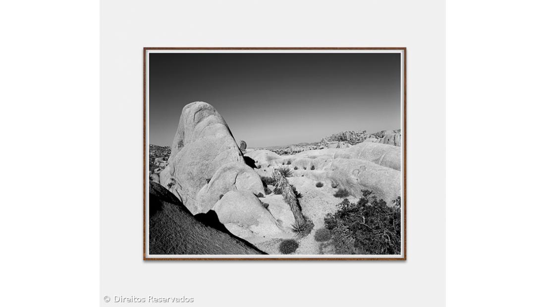 "West" de Marco Pires em exposição na Fonseca Macedo